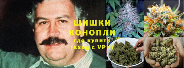 ПСИЛОЦИБИНОВЫЕ ГРИБЫ Арсеньев