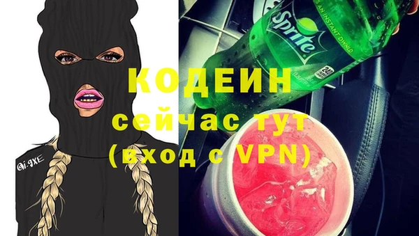 ПСИЛОЦИБИНОВЫЕ ГРИБЫ Арсеньев