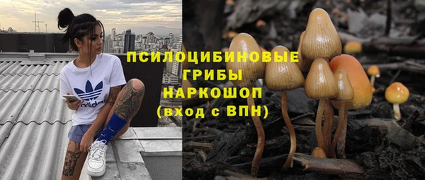 ПСИЛОЦИБИНОВЫЕ ГРИБЫ Арсеньев