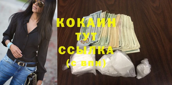 ПСИЛОЦИБИНОВЫЕ ГРИБЫ Арсеньев