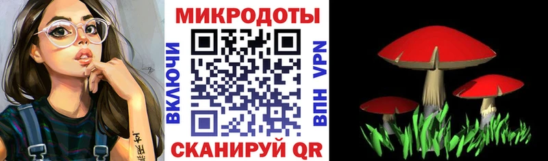 Псилоцибиновые грибы прущие грибы  где купить   Белогорск 